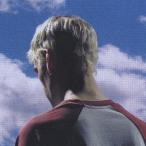 Effetto Michelangelo