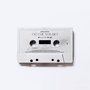 Ciò che non dici (prod. thasup)